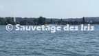 IMG_3802.MOV